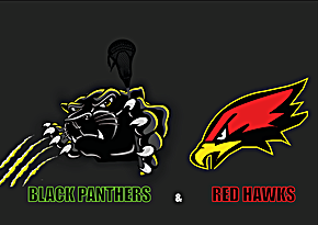 Black Hawks
